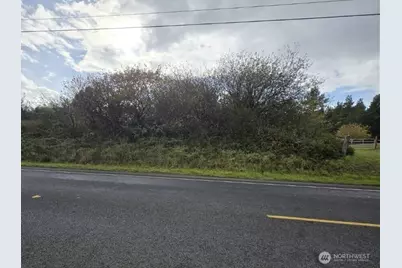 4717 State Route 105 S, Grayland, WA 98547 - Photo 7