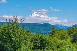 15821 269th St E, Graham, WA 98338 - Photo 31