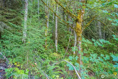 112 Chasewood Drive, Port Angeles, WA 98363 - Photo 19