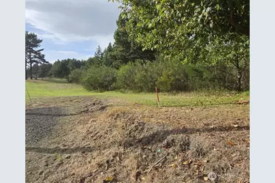 4721 State Route 105 S, Grayland, WA 98547 - Photo 7