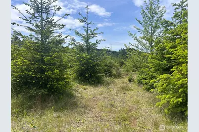 0 Eden Valley Road, Rosburg, WA 98643 - Photo 3