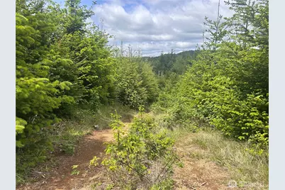 0 Eden Valley Road, Rosburg, WA 98643 - Photo 5