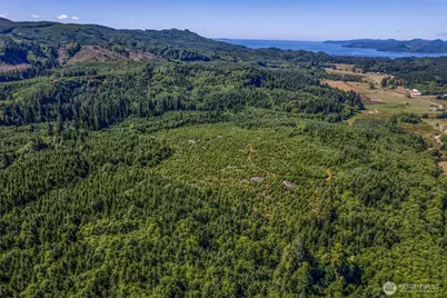 0 Eden Valley Road, Rosburg, WA 98643 - Photo 1