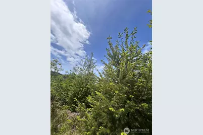 0 Eden Valley Road, Rosburg, WA 98643 - Photo 9