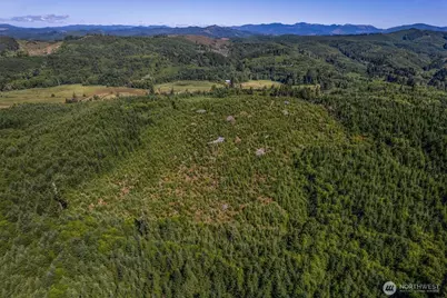 0 Eden Valley Road, Rosburg, WA 98643 - Photo 11