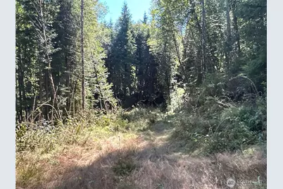 1 Eden Valley Road, Rosburg, WA 98643 - Photo 3