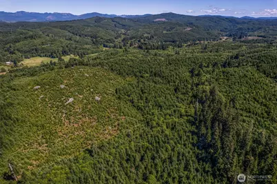 1 Eden Valley Road, Rosburg, WA 98643 - Photo 11