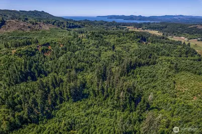 1 Eden Valley Road, Rosburg, WA 98643 - Photo 1
