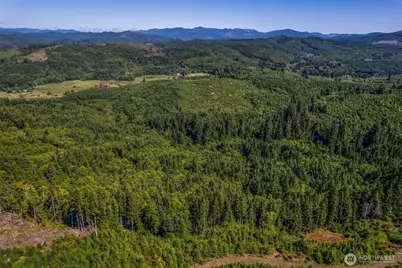 1 Eden Valley Road, Rosburg, WA 98643 - Photo 9