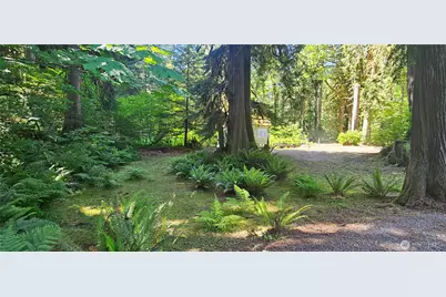 63702 Marblemount Way, Marblemount, WA 98267 - Photo 15