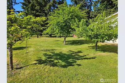 17103 Camas Run Lane SW, Rochester, WA 98579 - Photo 29