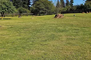17103 Camas Run Ln SW, Rochester, WA 98579 - Photo 25
