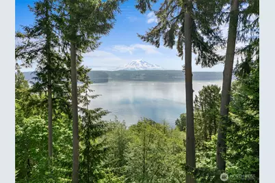 10823 Seaview Drive, Anderson Island, WA 98303 - Photo 3
