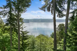 10823 Seaview Dr, Anderson Island, WA 98303 - Photo 3