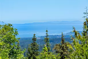 1648 Township Line Rd, Port Angeles, WA 98362 - Photo 37
