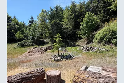 1 X Buena Vista Way, Brinnon, WA 98320 - Photo 21