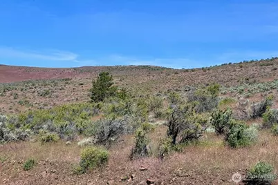 4 Xx Secret Canyon Road, Ellensburg, WA 98926 - Photo 21