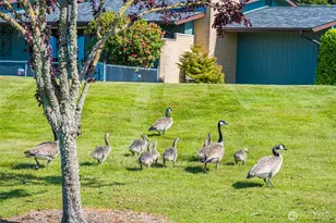 1301 S 3rd Ave, Sequim, WA 98382 - Photo 31