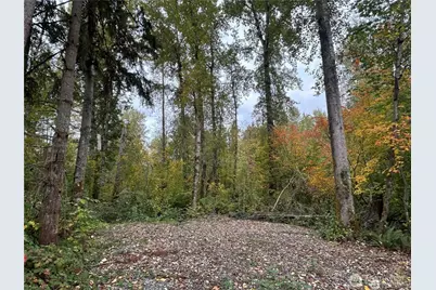 10604 258th Ave E, Buckley, WA 98321 - Photo 3