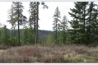 18 Xxx Miner Road, Mead, WA 99021 - Photo 29