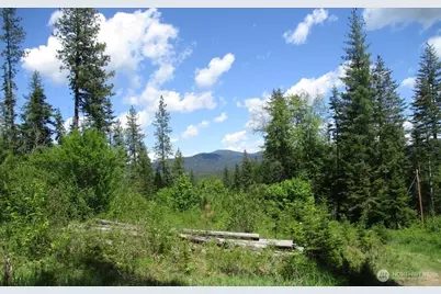 18 Xxx Miner Road, Mead, WA 99021 - Photo 13