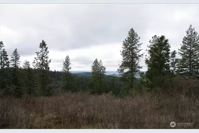 18 Xxx Miner Road, Mead, WA 99021 - Photo 25