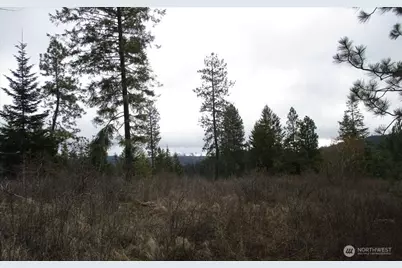 18 Xxx Miner Road, Mead, WA 99021 - Photo 27