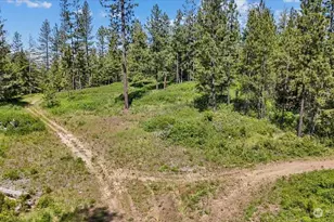18 Xxx Miner Rd, Mead, WA 99021 - Photo 1