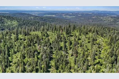 18 Xxx Miner Road, Mead, WA 99021 - Photo 3