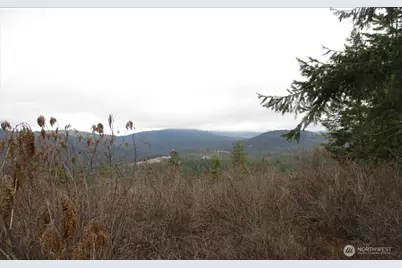 18 Xxx Miner Road, Mead, WA 99021 - Photo 19