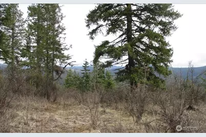 18 Xxx Miner Road, Mead, WA 99021 - Photo 23