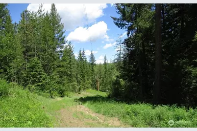 18 Xxx Miner Road, Mead, WA 99021 - Photo 21