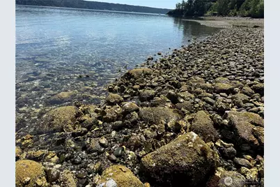 311231 Highway 101, Brinnon, WA 98320 - Photo 23