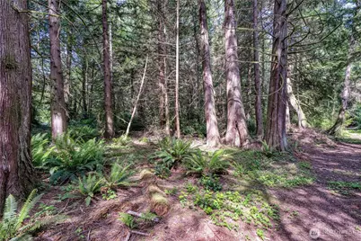 15873 Peacock Hill Road SE, Olalla, WA 98359 - Photo 11