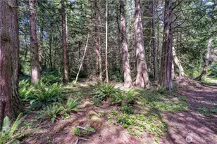 15873 Peacock Hill Rd SE, Olalla, WA 98359 - Photo 11