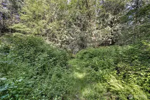 15873 Peacock Hill Rd SE, Olalla, WA 98359 - Photo 9