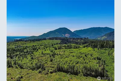 2904 Wildwood Drive, Quilcene, WA 98376 - Photo 21