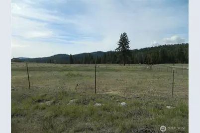 4 Duck Flats Road, Tonasket, WA 98855 - Photo 5