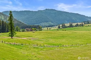 3114 Old Baldy Rd, Rice, WA 99167 - Photo 35