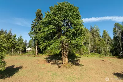 0 Lenora Lane, Kelso, WA 98626 - Photo 21