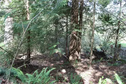 260 Xx SE 18th Place, Sammamish, WA 98075 - Photo 5