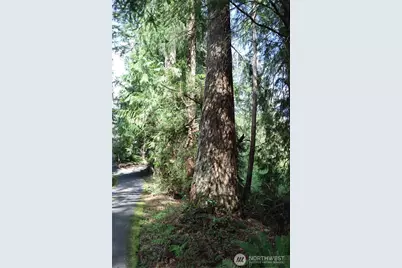 260 Xx SE 18th Place, Sammamish, WA 98075 - Photo 7