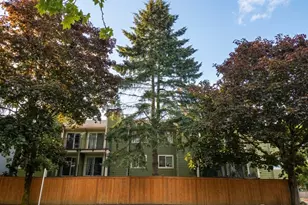12511 SE 41st Pl, Bellevue, WA 98006 - Photo 17