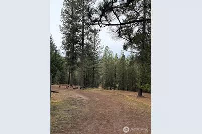 30543 Hwy 20 E, Republic, WA 99166 - Photo 5