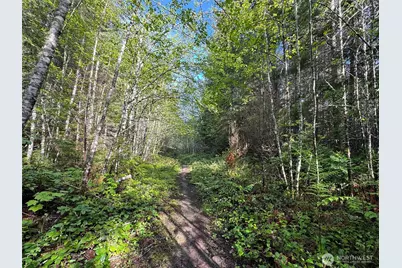 0 92+ Ac Headwaters Lane, Port Angeles, WA 98362 - Photo 21