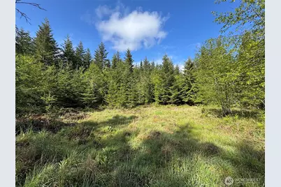 0 92+ Ac Headwaters Lane, Port Angeles, WA 98362 - Photo 31