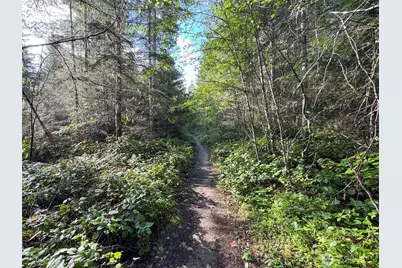 0 92+ Ac Headwaters Lane, Port Angeles, WA 98362 - Photo 19