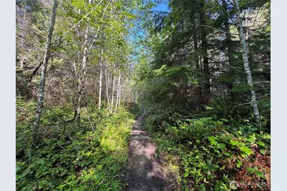 0 92+ Ac Headwaters Lane, Port Angeles, WA 98362 - Photo 25