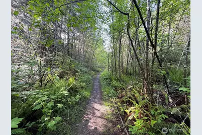 0 92+ Ac Headwaters Lane, Port Angeles, WA 98362 - Photo 15
