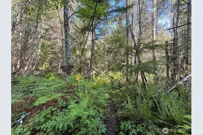 0 92+ Ac Headwaters Lane, Port Angeles, WA 98362 - Photo 29
